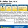 Rotklee 2 Rotklee -Pflanzensamen Rabatt kiepenkerl rotklee 1 paket 1661055 de