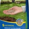 Starterrasen, 1 Kg 2 Starterrasen, 1 Kg -Pflanzensamen Rabatt kiepenkerl starterrasen 1 kg 1671144 de