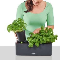 LECHUZA CUBE Color Triple Komplett-Set, Sandbraun 21 LECHUZA CUBE Color Triple Komplett-Set, Sandbraun -Pflanzensamen Rabatt lechuza balconissima color 40 komplett set 648882 de