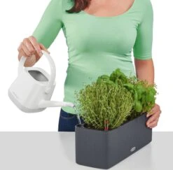 LECHUZA CUBE Color Triple Komplett-Set, Sandbraun 17 LECHUZA CUBE Color Triple Komplett-Set, Sandbraun -Pflanzensamen Rabatt lechuza balconissima color 40 komplett set 648892 de