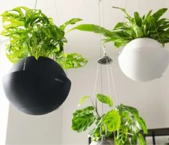 LECHUZA Blumenampel BOLA Color 23, Schiefergrau -Pflanzensamen Rabatt lechuza blumenampel bola color 23 1190201 de