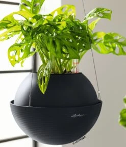 LECHUZA Blumenampel BOLA Color 23, Schiefergrau