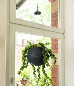 LECHUZA Blumenampel BOLA Color 23, Schiefergrau -Pflanzensamen Rabatt lechuza blumenampel bola color 23 schiefergrau 1190278 de