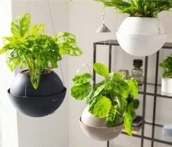 LECHUZA Blumenampel BOLA Color 32, Sandbraun -Pflanzensamen Rabatt lechuza blumenampel bola color 32 1190313 de