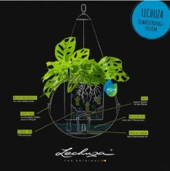 LECHUZA Blumenampel BOLA Color 32, Sandbraun -Pflanzensamen Rabatt lechuza blumenampel bola color 32 1190320 de