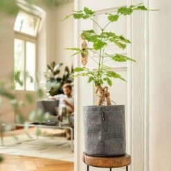 LECHUZA Pflanzgefäß TRENDCOVER "Filz" 23, Dark Grey -Pflanzensamen Rabatt lechuza komplett set trendcover filz 23 dark grey 1168518 de