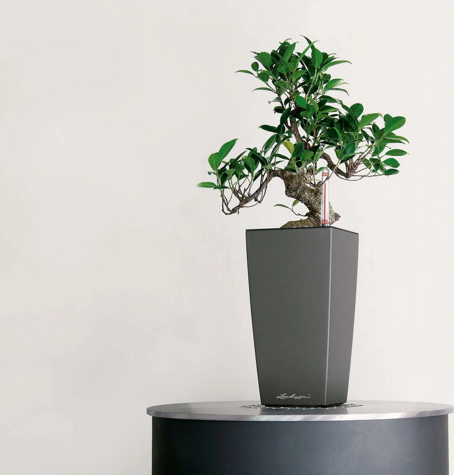 LECHUZA Tischgefäß MAXI CUBI, Weiß Hochglanz 7 LECHUZA Tischgefäß MAXI CUBI, Weiß Hochglanz – Bild 5