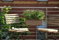 LECHUZA Pflanzgefäß BALCONERA Color 50, Schiefergrau 21 LECHUZA Pflanzgefäß BALCONERA Color 50, Schiefergrau -Pflanzensamen Rabatt lechuza pflanzgefaess balconera color 50 1667431 de