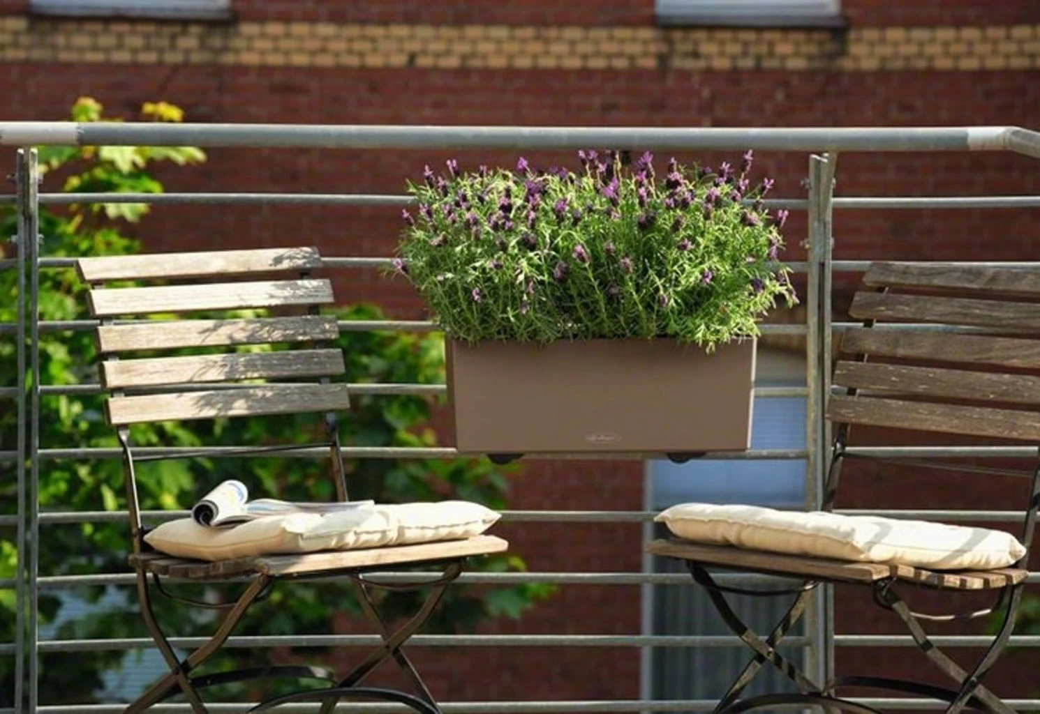 LECHUZA Pflanzgefäß BALCONERA Color 50, Schiefergrau 6 LECHUZA Pflanzgefäß BALCONERA Color 50, Schiefergrau – Bild 4