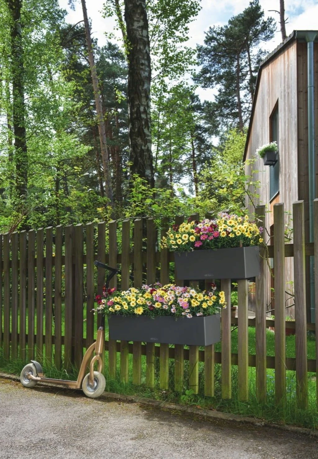 LECHUZA Pflanzgefäß BALCONERA Color 50, Schiefergrau 4 LECHUZA Pflanzgefäß BALCONERA Color 50, Schiefergrau – Bild 2