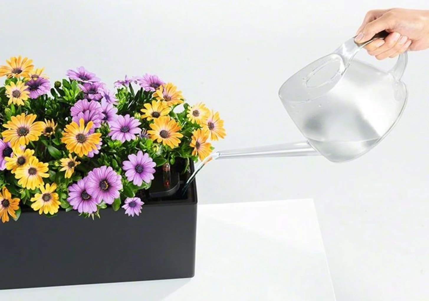 LECHUZA Pflanzgefäß BALCONERA Color 50, Schiefergrau 17 LECHUZA Pflanzgefäß BALCONERA Color 50, Schiefergrau – Bild 15