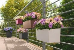 LECHUZA Pflanzgefäß BALCONERA Color 50, Schiefergrau 30 LECHUZA Pflanzgefäß BALCONERA Color 50, Schiefergrau -Pflanzensamen Rabatt lechuza pflanzgefaess balconera color 50 1667440 de