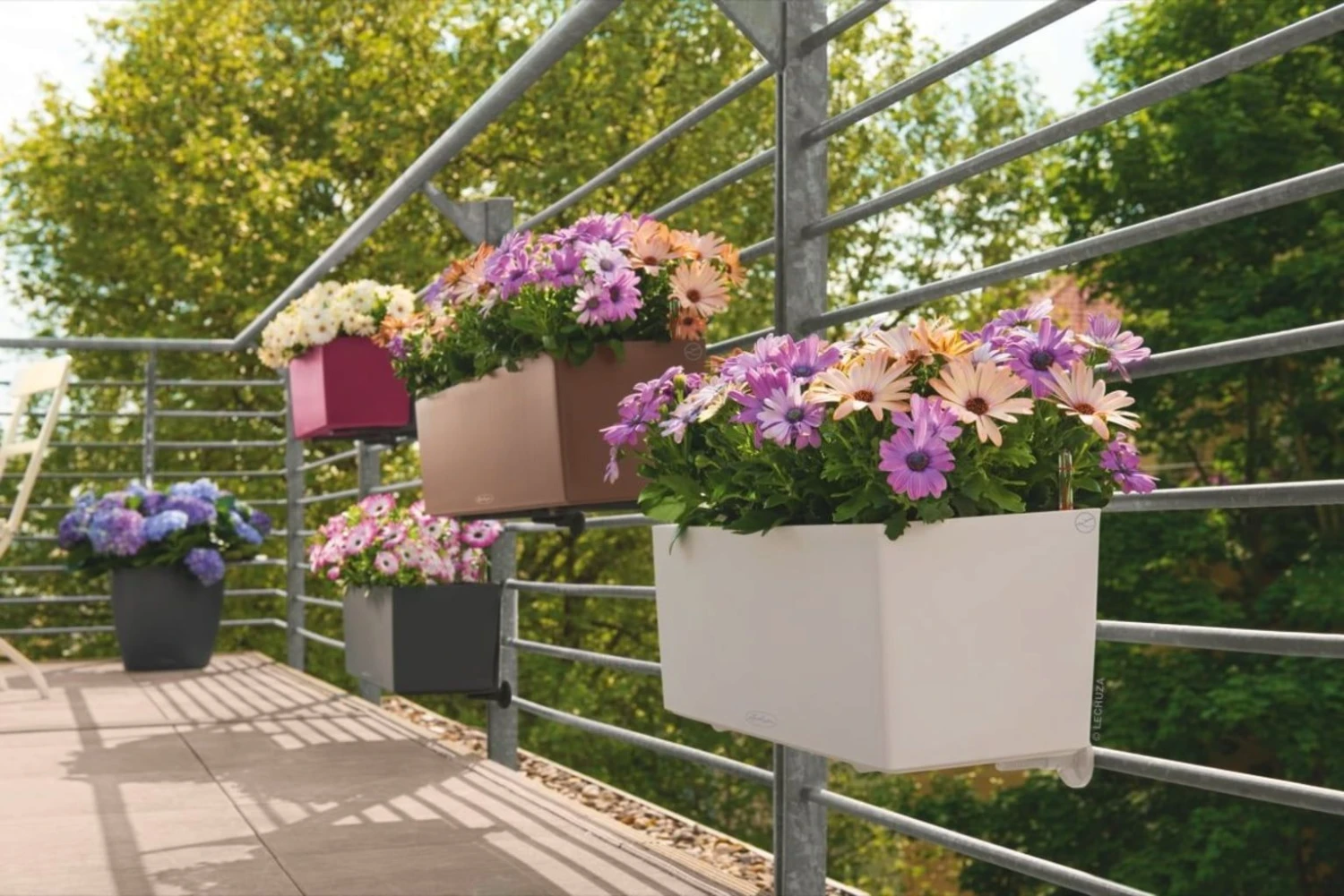 LECHUZA Pflanzgefäß BALCONERA Color 50, Schiefergrau 15 LECHUZA Pflanzgefäß BALCONERA Color 50, Schiefergrau – Bild 13