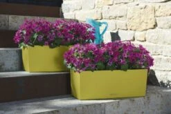 LECHUZA Pflanzgefäß BALCONERA Color 50, Schiefergrau 20 LECHUZA Pflanzgefäß BALCONERA Color 50, Schiefergrau -Pflanzensamen Rabatt lechuza pflanzgefaess balconera color 50 1668093 de