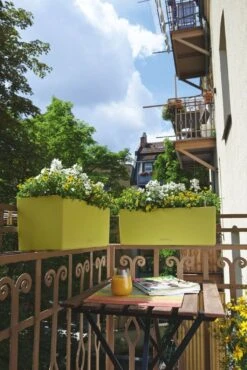 LECHUZA Pflanzgefäß BALCONERA Color 50, Schiefergrau 29 LECHUZA Pflanzgefäß BALCONERA Color 50, Schiefergrau -Pflanzensamen Rabatt lechuza pflanzgefaess balconera color 50 1668095 de