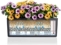 LECHUZA Pflanzgefäß BALCONERA Color 50, Schiefergrau 33 LECHUZA Pflanzgefäß BALCONERA Color 50, Schiefergrau -Pflanzensamen Rabatt lechuza pflanzgefaess balconera color 50 1668096 de