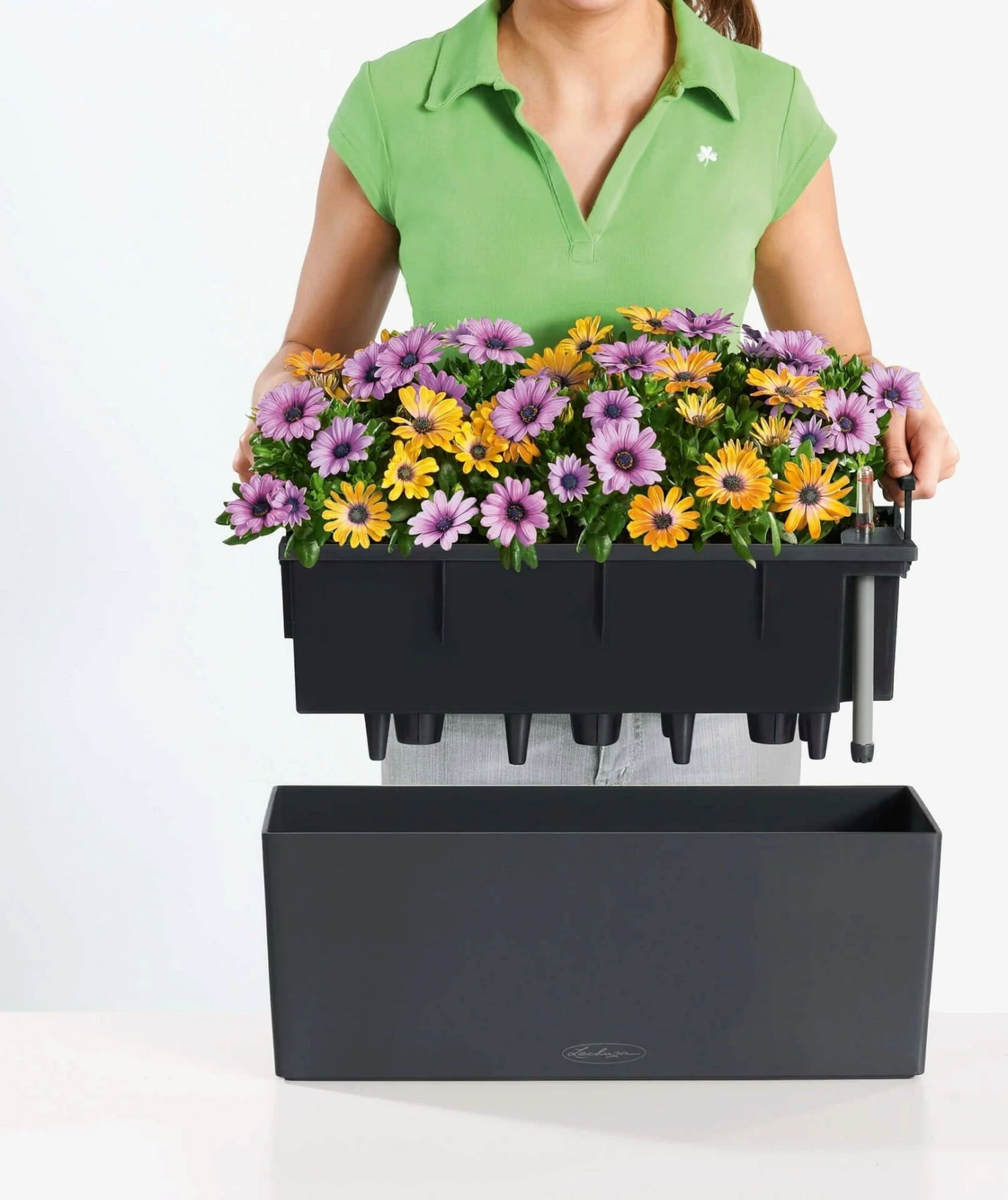 LECHUZA Pflanzgefäß BALCONERA Color 50, Schiefergrau 8 LECHUZA Pflanzgefäß BALCONERA Color 50, Schiefergrau – Bild 6