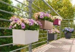 LECHUZA Pflanzgefäß BALCONERA Color 80, Schiefergrau -Pflanzensamen Rabatt lechuza pflanzgefaess balconera color 80 1667395 de