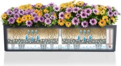 LECHUZA Pflanzgefäß BALCONERA Color 80, Schiefergrau -Pflanzensamen Rabatt lechuza pflanzgefaess balconera color 80 1668087 de