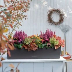 LECHUZA Pflanzgefäß BALCONERA Color 80, Schiefergrau -Pflanzensamen Rabatt lechuza pflanzgefaess balconera color 80 902700 de