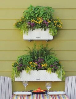 LECHUZA Pflanzgefäß BALCONERA Cottage 80, Weiß 19 LECHUZA Pflanzgefäß BALCONERA Cottage 80, Weiß -Pflanzensamen Rabatt lechuza pflanzgefaess balconera cottage 80 1667388 de