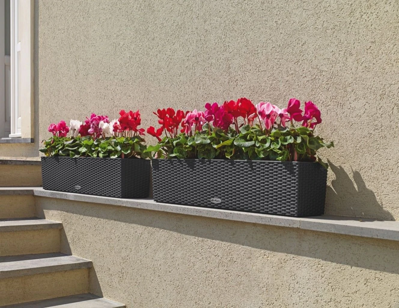 LECHUZA Pflanzgefäß BALCONERA Cottage 80, Weiß 8 LECHUZA Pflanzgefäß BALCONERA Cottage 80, Weiß – Bild 6