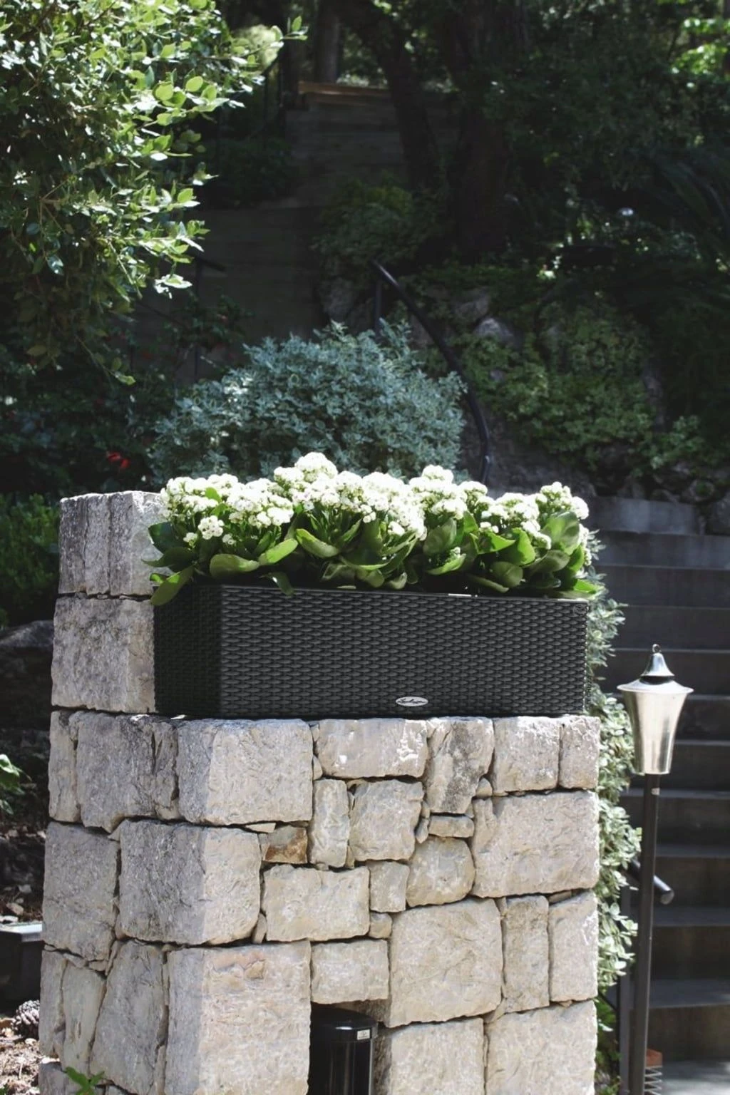 LECHUZA Pflanzgefäß BALCONERA Cottage 80, Weiß 4 LECHUZA Pflanzgefäß BALCONERA Cottage 80, Weiß – Bild 2