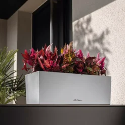 LECHUZA Pflanzgefäß BALCONERA Steel, 50 Cm 17 LECHUZA Pflanzgefäß BALCONERA Steel, 50 Cm -Pflanzensamen Rabatt lechuza pflanzgefaess balconera steel 50 cm 1617317 de