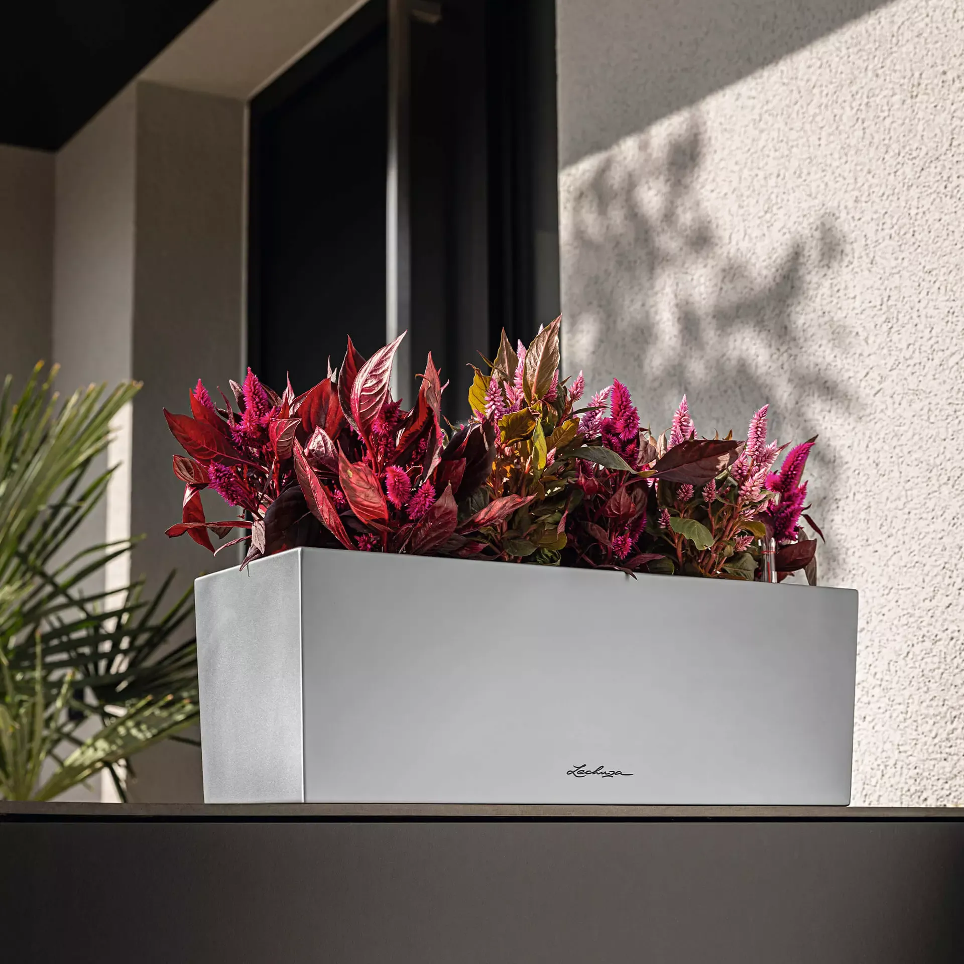 LECHUZA Pflanzgefäß BALCONERA Steel, 50 Cm 10 LECHUZA Pflanzgefäß BALCONERA Steel, 50 Cm – Bild 8