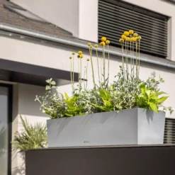 LECHUZA Pflanzgefäß BALCONERA Steel, 50 Cm 14 LECHUZA Pflanzgefäß BALCONERA Steel, 50 Cm -Pflanzensamen Rabatt lechuza pflanzgefaess balconera steel 50 cm 1617325 de