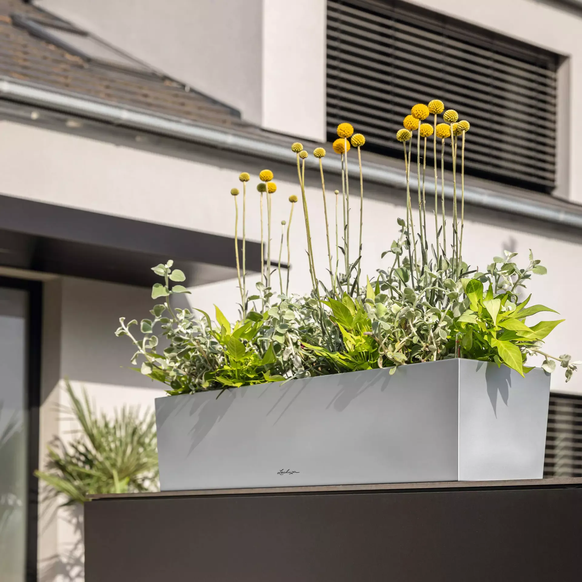 LECHUZA Pflanzgefäß BALCONERA Steel, 50 Cm 7 LECHUZA Pflanzgefäß BALCONERA Steel, 50 Cm – Bild 5