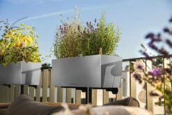 LECHUZA Pflanzgefäß BALCONERA Steel, 50 Cm