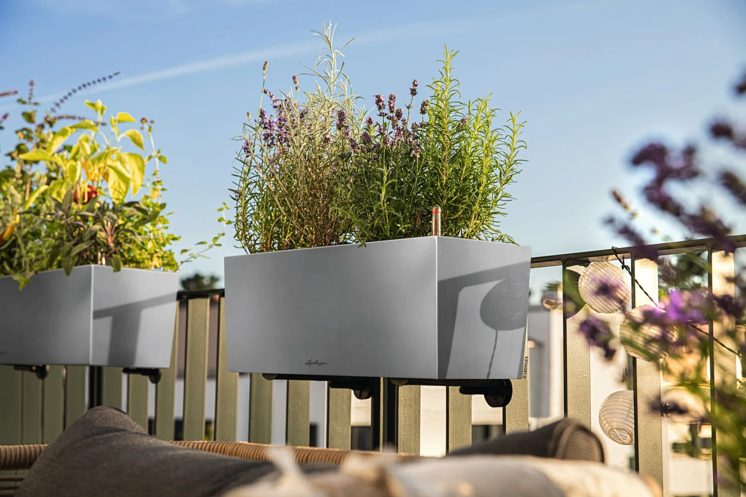 LECHUZA Pflanzgefäß BALCONERA Steel, 50 Cm 3 LECHUZA Pflanzgefäß BALCONERA Steel, 50 Cm