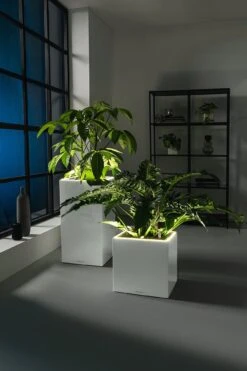 LECHUZA Pflanzgefäß CANTO Premium 40 High, LED, Silber Metallic 10 LECHUZA Pflanzgefäß CANTO Premium 40 High, LED, Silber Metallic -Pflanzensamen Rabatt lechuza pflanzgefaess canto premium 40 high led 1468301 de