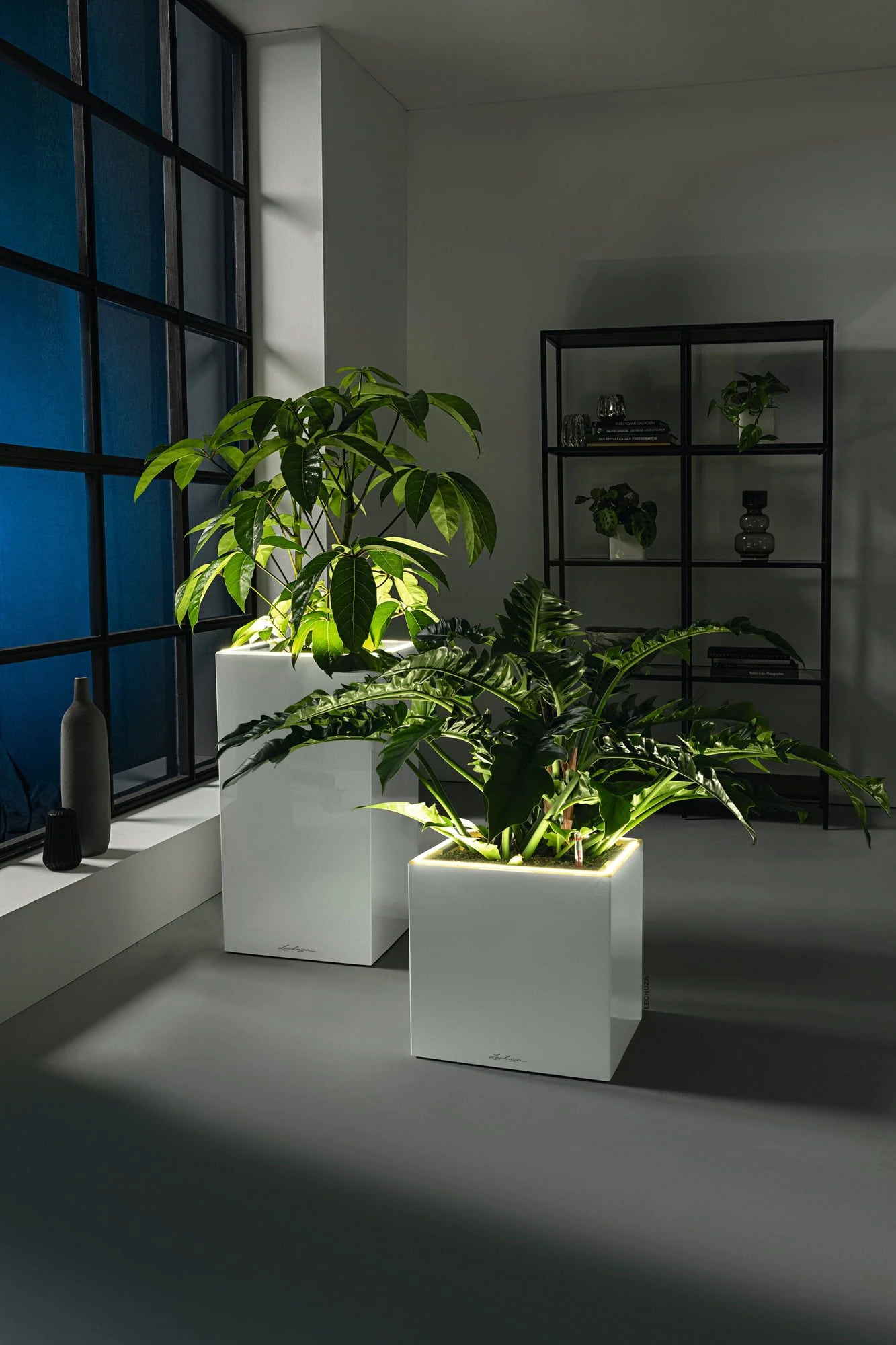 LECHUZA Pflanzgefäß CANTO Premium 40 High, LED, Silber Metallic 5 LECHUZA Pflanzgefäß CANTO Premium 40 High, LED, Silber Metallic – Bild 3