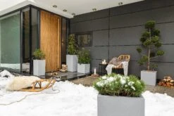 LECHUZA Pflanzgefäß CANTO Stone 30 LED High, Graphitschwarz -Pflanzensamen Rabatt lechuza pflanzgefaess canto stone 30 led high 1681466 de