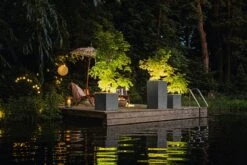 LECHUZA Pflanzgefäß CANTO Stone 30 LED High, Graphitschwarz -Pflanzensamen Rabatt lechuza pflanzgefaess canto stone 30 led high 1681469 de