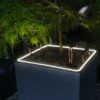 LECHUZA Pflanzgefäß CANTO Stone 40 LED Low, Graphitschwarz -Pflanzensamen Rabatt lechuza pflanzgefaess canto stone 40 led low 1469401 de