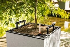 LECHUZA Pflanzgefäß CANTO Stone 40 LED Low, Graphitschwarz -Pflanzensamen Rabatt lechuza pflanzgefaess canto stone 40 led low 1681474 de