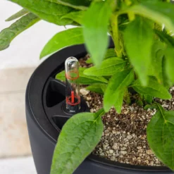 LECHUZA Pflanzgefäß CLASSICO Color LS 21, Schiefergrau 10 LECHUZA Pflanzgefäß CLASSICO Color LS 21, Schiefergrau -Pflanzensamen Rabatt lechuza pflanzgefaess classico color ls 21 muskat 1617203 de