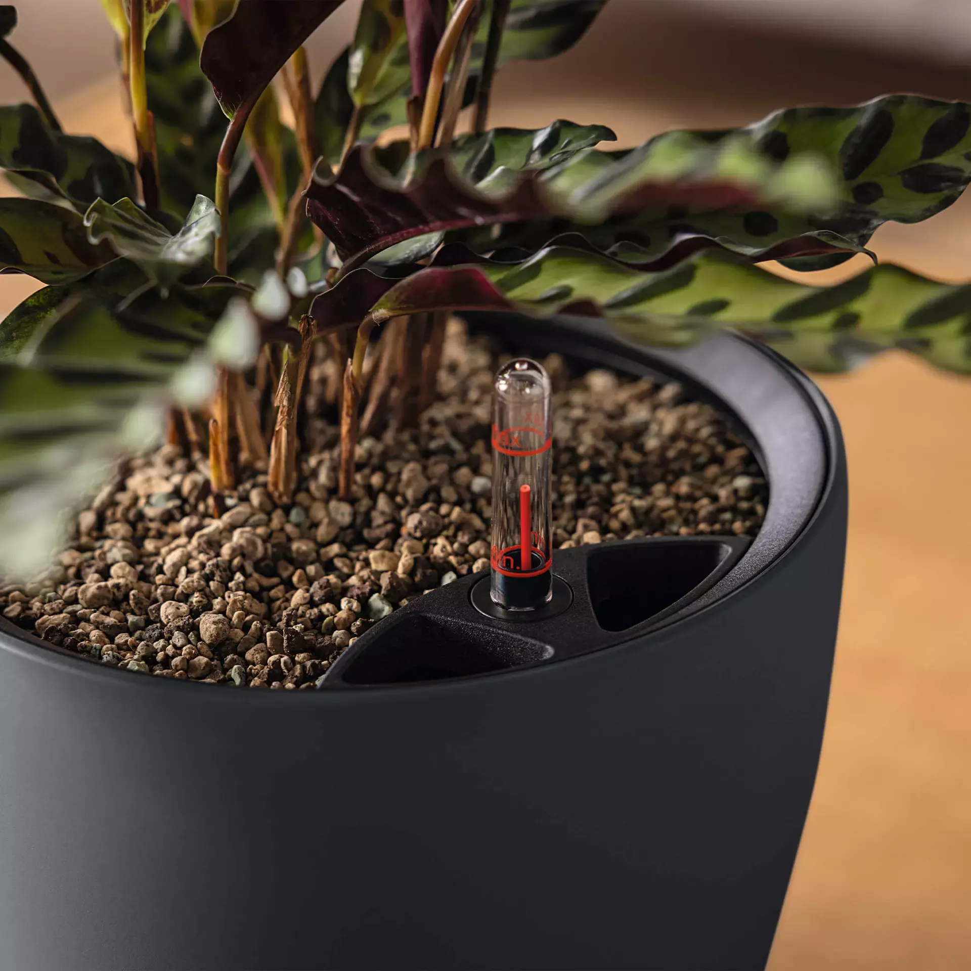 LECHUZA Pflanzgefäß CLASSICO Color LS 21, Schiefergrau 4 LECHUZA Pflanzgefäß CLASSICO Color LS 21, Schiefergrau – Bild 2