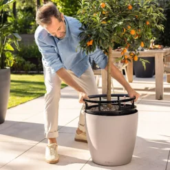 LECHUZA Pflanzgefäß CLASSICO Color LS 43, Sandbraun 12 LECHUZA Pflanzgefäß CLASSICO Color LS 43, Sandbraun -Pflanzensamen Rabatt lechuza pflanzgefaess classico color ls 43 muskat 1617053 de