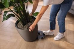 LECHUZA Pflanzgefäß CLASSICO Color LS 43, Sandbraun 13 LECHUZA Pflanzgefäß CLASSICO Color LS 43, Sandbraun -Pflanzensamen Rabatt lechuza pflanzgefaess classico color ls 43 muskat 1617089 de