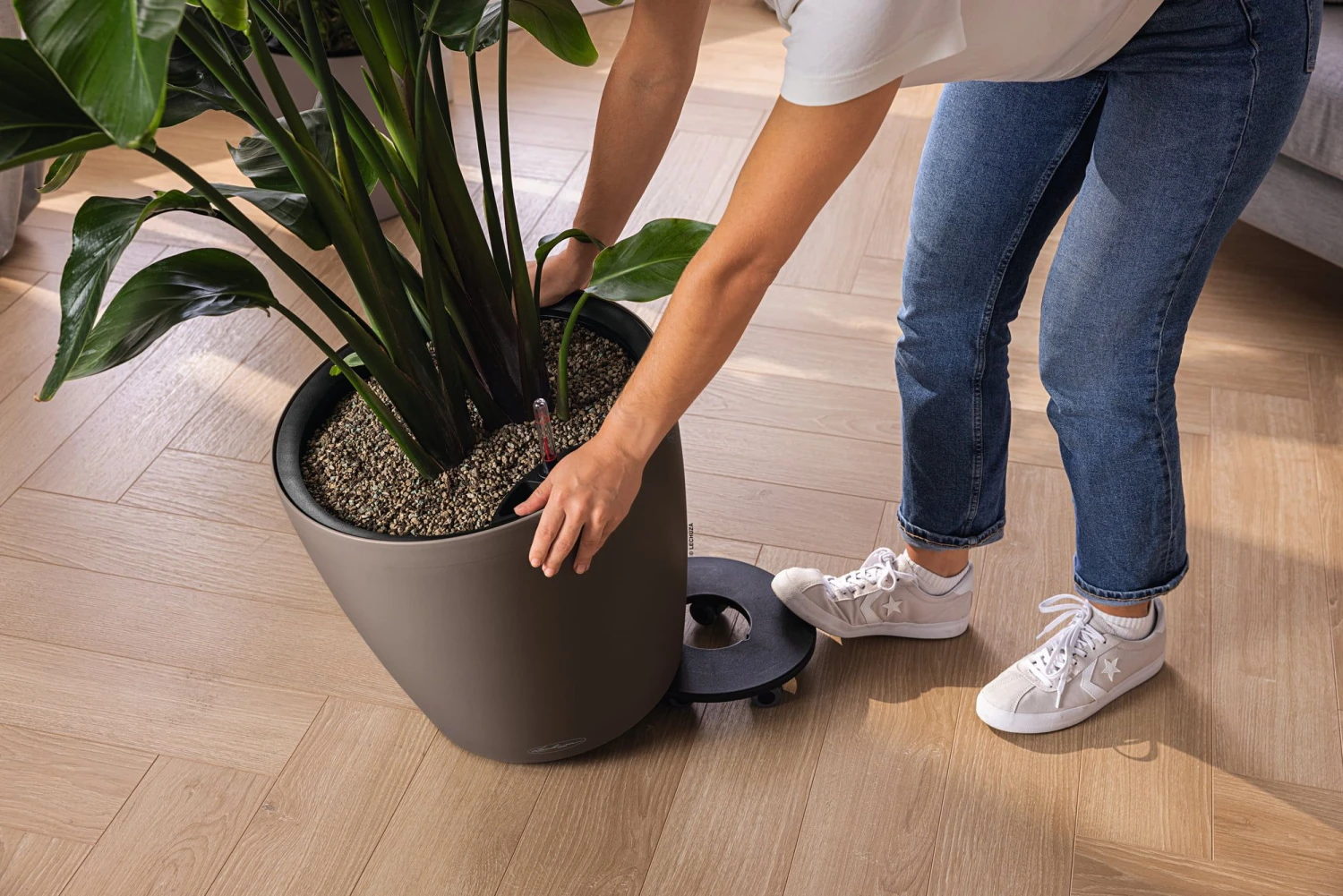 LECHUZA Pflanzgefäß CLASSICO Color LS 43, Sandbraun 6 LECHUZA Pflanzgefäß CLASSICO Color LS 43, Sandbraun – Bild 4