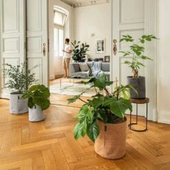 LECHUZA Pflanzgefäß TRENDCOVER "Kork" 23, Light Natural -Pflanzensamen Rabatt lechuza pflanzgefaess trendcover kork 23 1677551 de