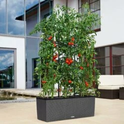 LECHUZA Rankgitter Für Pflanzgefäß TRIO 30, 1 Stück -Pflanzensamen Rabatt lechuza rankgitter fuer pflanzgefaess trio 30 1143491 de