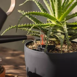 LECHUZA Substrat Basic-PON, 12 Liter -Pflanzensamen Rabatt lechuza substrat basic pon 12 liter 1613040 de