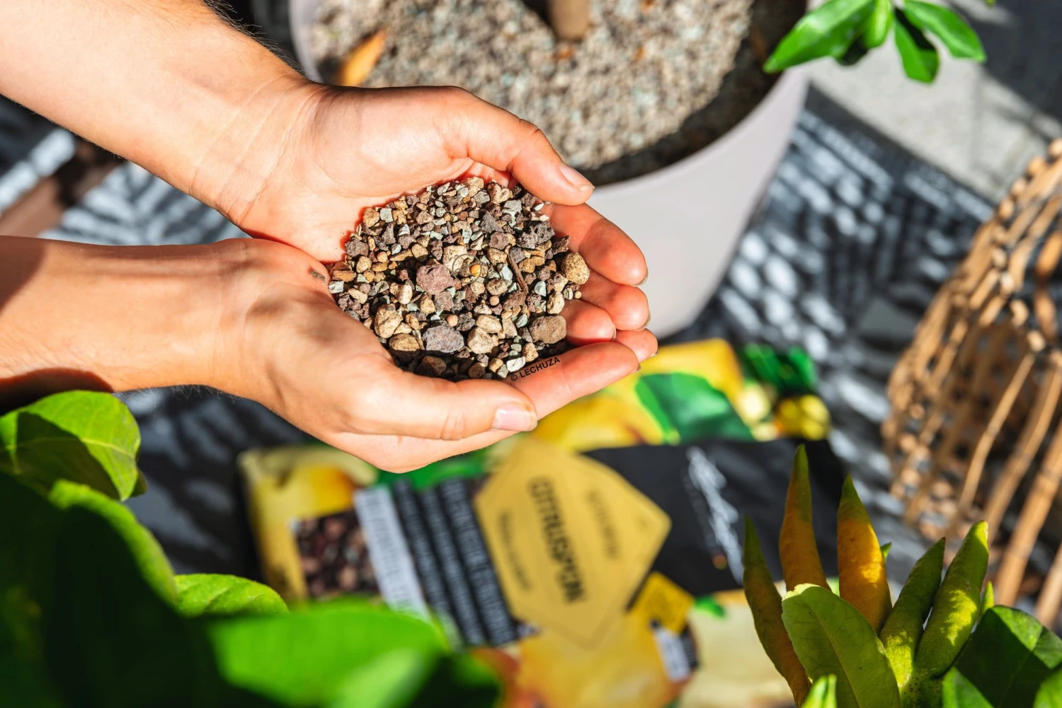 LECHUZA Substrat Citrus-PON, 12 Liter 4 LECHUZA Substrat Citrus-PON, 12 Liter – Bild 2