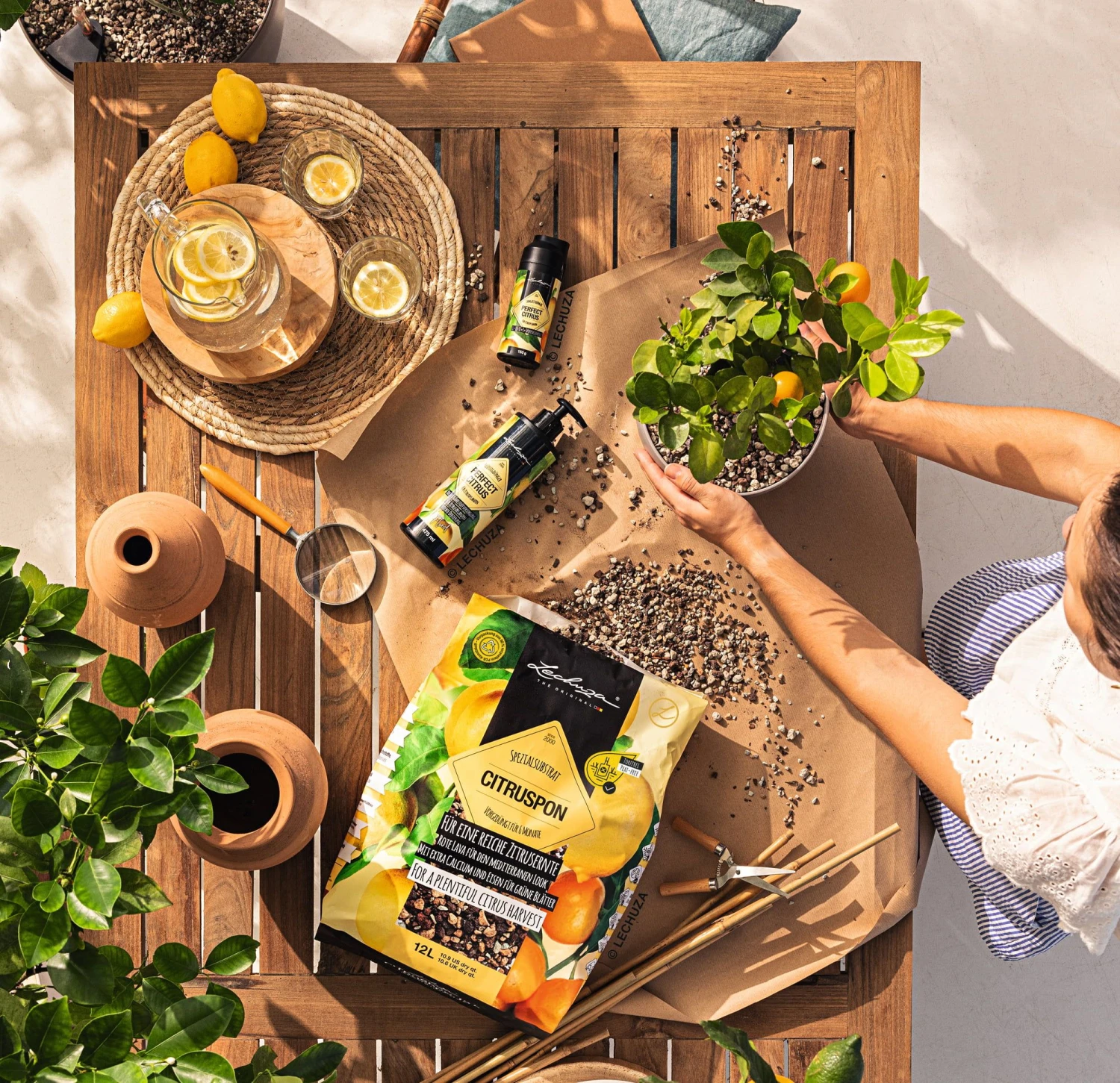 LECHUZA Substrat Citrus-PON, 12 Liter 3 LECHUZA Substrat Citrus-PON, 12 Liter