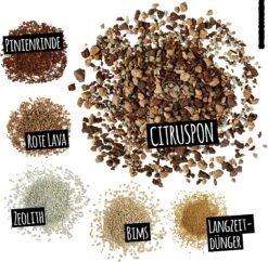 LECHUZA Substrat Citrus-PON, 12 Liter 8 LECHUZA Substrat Citrus-PON, 12 Liter -Pflanzensamen Rabatt lechuza substrat citrus pon 25 liter 1616881 de